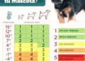 DABA EMITE RECOMENDACIONES PARA LAS MASCOTAS.