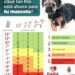 DABA EMITE RECOMENDACIONES PARA LAS MASCOTAS.