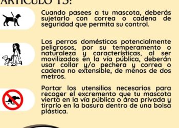 SI ERES DUEÑO DE UNA MASCOTA , ESTO TE INTERESA.