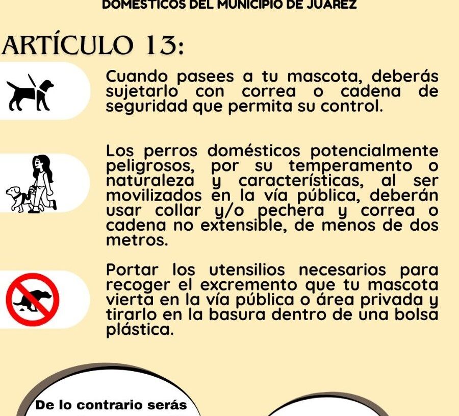 SI ERES DUEÑO DE UNA MASCOTA , ESTO TE INTERESA.