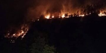 SOLICITAN APOYO PARA BRIGADISTAS