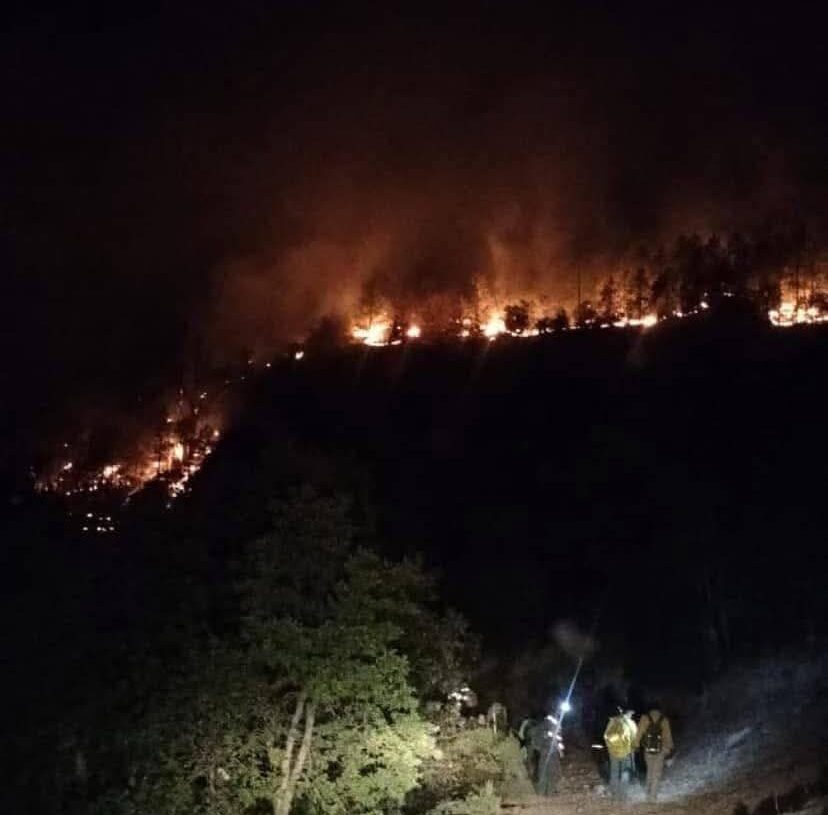 SOLICITAN APOYO PARA BRIGADISTAS